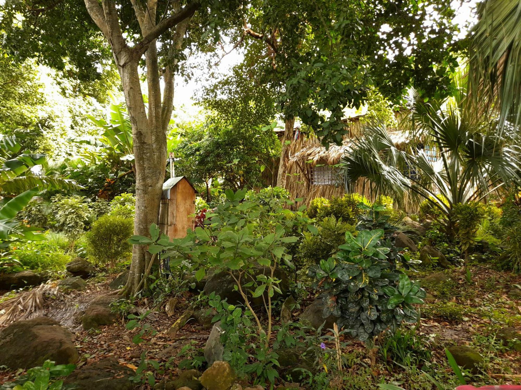 El Bamboo Cabins Balgue Eksteriør billede